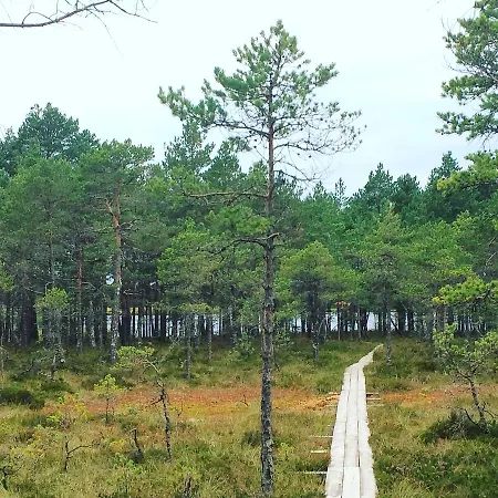 Hotel Von Rosen (adults Only) Mäetaguse