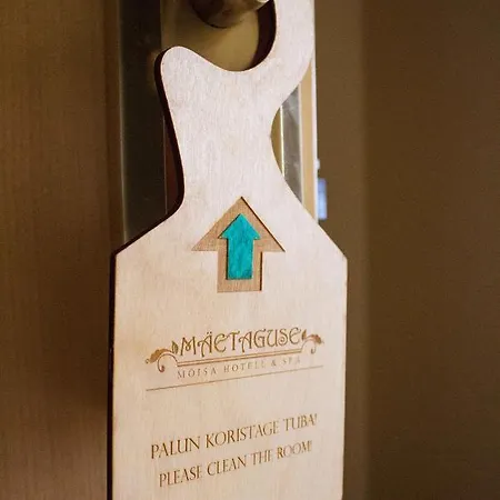 Von Rosen Mäetaguse